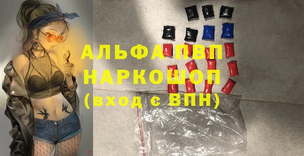 дживик Дегтярск