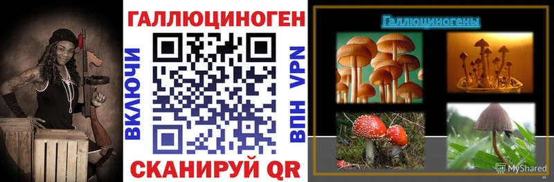 Псилоцибиновые грибы MAGIC MUSHROOMS  Купить закладки  Красный Сулин 